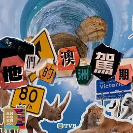 亲爱的杀手高清完整版免费观看中文