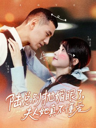嫌疑人x献身音乐剧免费观看全集