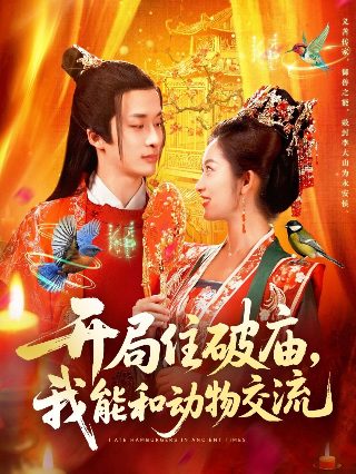 我知道我爱你电视剧13集免费观看