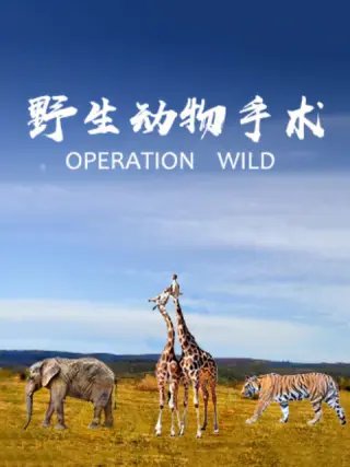 大漠苍狼1之绝密勘探