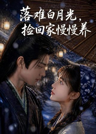 黑色四叶草漫画在线观看