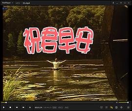 玫瑰的婚姻40集免费观看全集