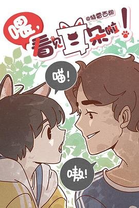 《红楼梦》主题曲歌词完整版视频下载免费