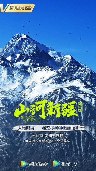 女士的法则电视剧全集哪里能看