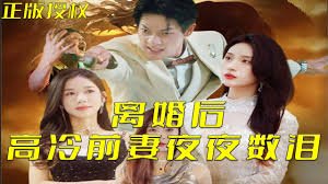 凤舞天下电影演员表名单介绍