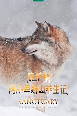 火影忍者第615集剧情介绍全集视频