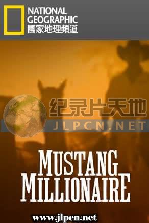 青岛往事28集电视剧剧情介绍