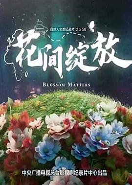 津门飞鹰40集剧情介绍大结局