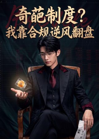 电视剧《夫妻一场》全集免费观看高清版下载视频