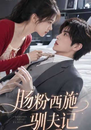 初婚56集免费播放下载