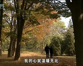喜羊羊与灰太狼之筐出胜利21