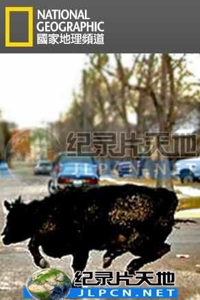 一起用餐吧第二季免费观看全集完整版
