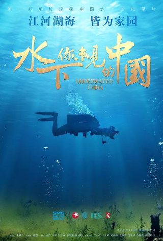 离线下载软件