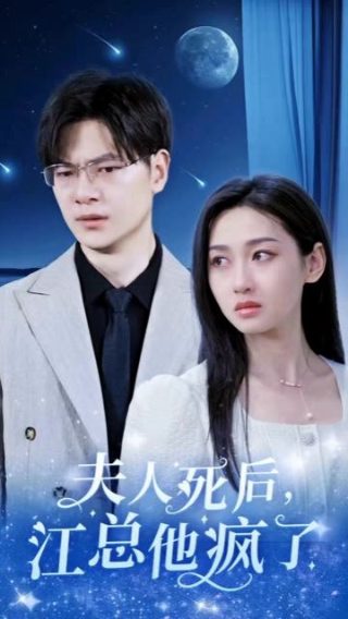 不能结婚的日本电视剧