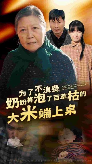 爱的二八定律电视剧全集资源下载观看
