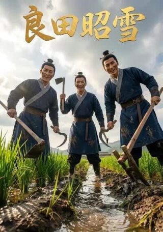 《如果有来生》歌曲舒淇的歌曲名字