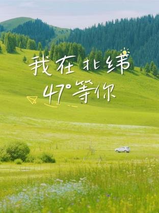 《大剑》短剧女主是谁啊视频下载观看