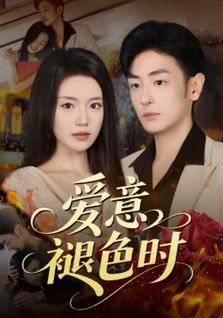 韩剧信义百度网盘下载资源免费