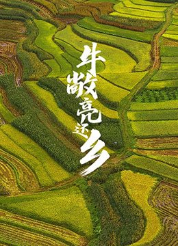 狂兽粤语版百度云资源