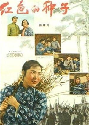 怕羞的黄莺第一季免费观看全集