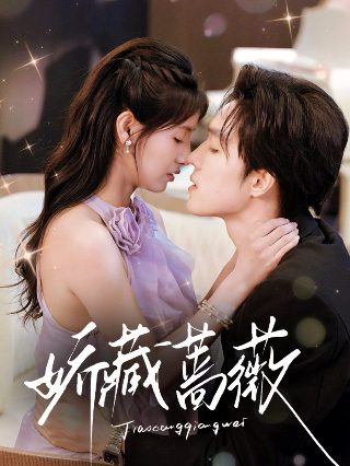 《团圆饭》宋小梅在线观看免费版
