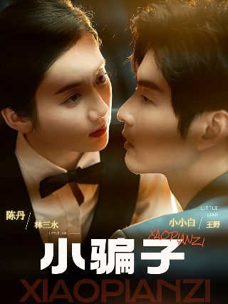 《我是刑警》25集剧情介绍视频播放下载安装