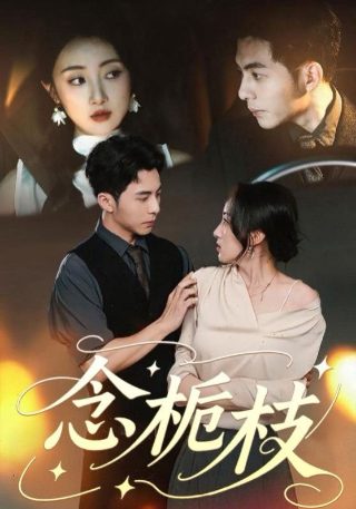 动画《地狱老师》在线观看全集视频免费下载