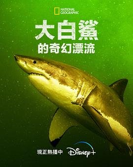 国精产品推荐视频