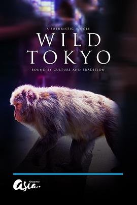 今生缘现场版