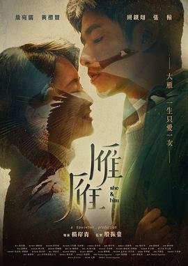 《爱闪亮》主演介绍表演节目是什么节目啊