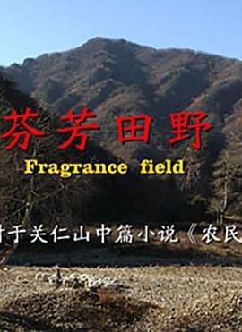 《发财日记》免费播放全集在线观看视频