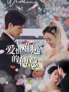 皇牌空战5全奖杯