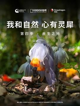 美国海军陆战队第一季免费观看全集高清