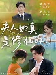 龙票免费观看全集