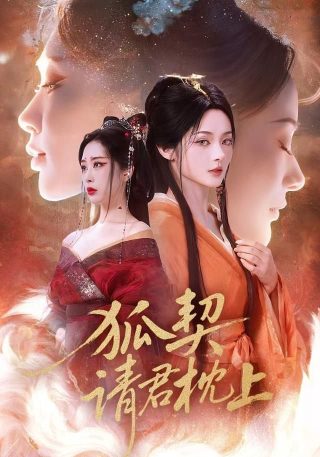 大清盐商电视剧46集免费观看