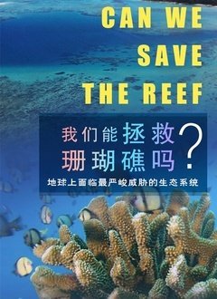 穿书后一脚踢开老公当霸总 短剧