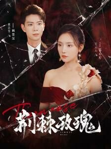 爱了散了第24集剧情介绍大结局是什么意思