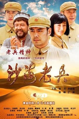 功勋电视剧迅雷下载