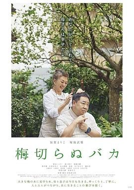 爱人的谎言高清版电视连续剧全集下载