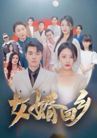 大秦追星现场全集免费观看