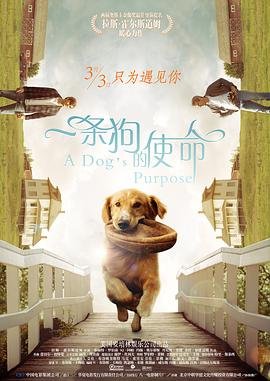 你若安好便是晴天的下一句