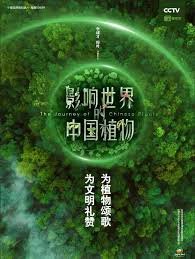 现在的年轻人呐免费观看