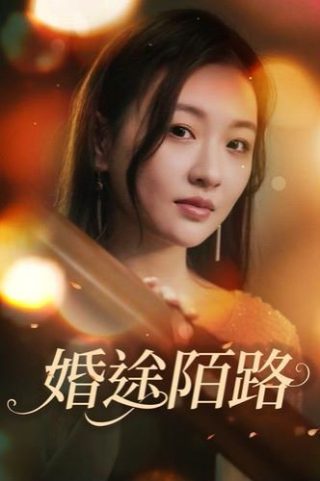 寻秦记2018电视剧百度百科大全