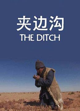 邪王追妻电视剧在线观看免费