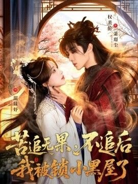 敌后武工队分集介绍