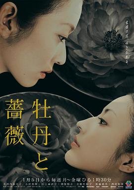 《我把忠诚献给你》主演名单是谁