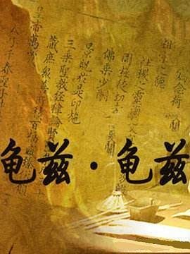 电视剧免费观看电视剧大全在线观看黑狐