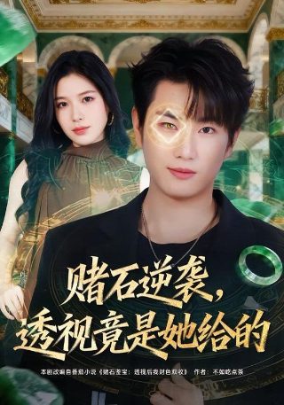 果宝特攻4百度网盘下载安装