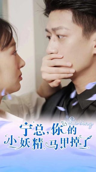 《南拳北腿》完整版视频播放免费观看