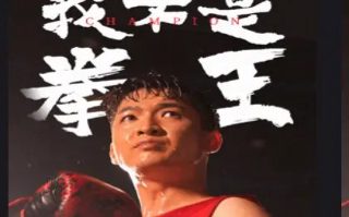 王昭君电视连续剧全集